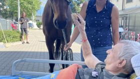 Pacienty v nemocnici navštívil kůň
