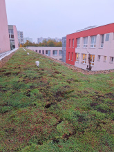 Pardubice mají první školu se zelenou střechou