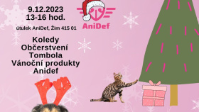 Útulek AniDef zve na Vánoční besídku