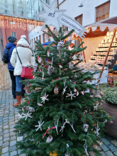 Nejkrásnější vánoční strom má MŠ Sedmikráska