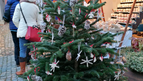 Nejkrásnější vánoční strom má MŠ Sedmikráska