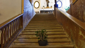 Do obnovy svatých schodů se může zapojit každý